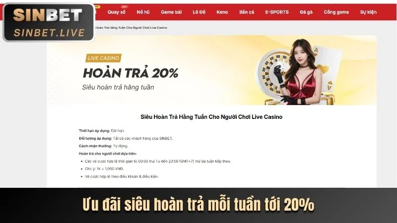 Các cấp bậc VIP và đặc quyền của 999ok nhà cái